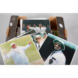 Cricket, press photo, 8cm x 10cm and smaller, including umpires, (12), Internationals, County,