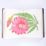 Joseph Paxton, The Magazine of Botany and Register of Flowering Plants, London 1834f.
