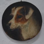 English School, 19th Century dog portrait, oil on wooden panel, tondo, diameter 23cm,