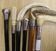 Six silver mounted walking sticks