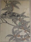 Japanese School3 woodblock printsStudies of birds amongst foliage13 x 9in.