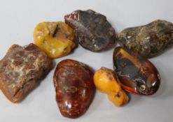 Eight assorted pieces of raw amber.