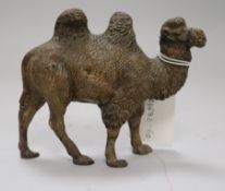 A composition figure of a camel