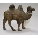 A composition figure of a camel