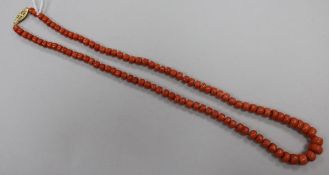 A single strand graduated coral bead necklace, with gilt metal clasp, gross weight, 36 grams, 53cm.