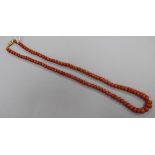 A single strand graduated coral bead necklace, with gilt metal clasp, gross weight, 36 grams, 53cm.