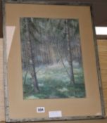 F. KaltnrasserwatercolourWoodland scenesigned and dated 195234 x 26cm