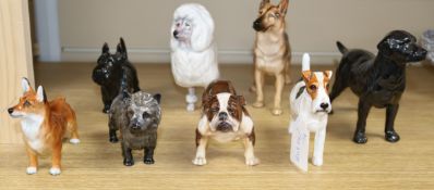 Six Royal Doulton dogs - a poodle, bulldog HN1047 and four others
