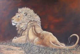 Oil on boardStudy of a lion82 x 121cm