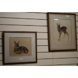 Kurt Meyer-Eberhardt, etching and aquatint (2) studies of deer, signed in pencil