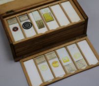 A boxed collection of microscope slides - plant specimens