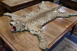 A Leopard skin rug with head