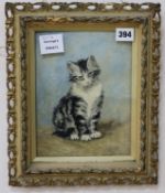 After Ronner Knip, oil on board, study of a kitten, 22 x 17cm