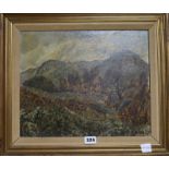 Maurice H. Sheppard, oil on board, Alpine Plants, Cumberland, signed, 11.5 x 14cm.