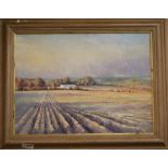 Paul Banning, oil on canvas, fields in winter, signed and dated '89, 44 x 59cm