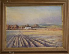 Paul Banning, oil on canvas, fields in winter, signed and dated '89, 44 x 59cm