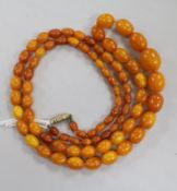 A single strand graduated oval amber bead necklace, gross weight 24 grams, 71cm.