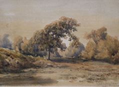 Eugene Lasbuy, watercolour, house and parkland, signed, 19 x 26cm