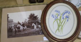 Two black and white equestrian subject photographs and a small watercolour of bluebells