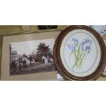 Two black and white equestrian subject photographs and a small watercolour of bluebells