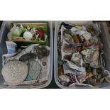 Two boxes of assorted mineral, coral and fossil specimens
