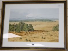 John Rundle, watercolour, Southerly National Park, New Zealand, signed and dated '85, 38 x 56cm