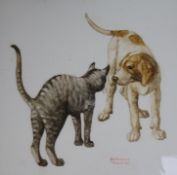 A continental porcelain plaque painted with a cat and dog by Antonius Traverso, framed, overall 35 x