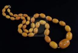 A single strand graduated oval amber bead necklace, gross weight 78 grams, 74cm.