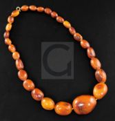 A single strand graduated oval amber bead necklace, of darker hue, gross weight 107 grams, 58cm.