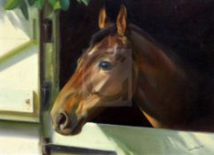 § Frank Wootton (1911-1998)oil on canvasHead study of the racehorse 'William Bud'signed and dated