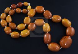 A single strand graduated oval amber bead necklace, gross weight 183 grams, 80cm.