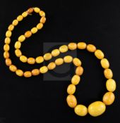 A single strand graduated oval amber bead necklace, gross weight 70 grams, 72cm.