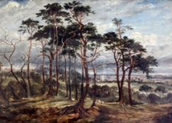 19th Century English Schooloil on boardA view of Hampstead Heathinscribed, dated '46 and