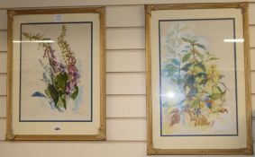 Susan Shaw, two watercolours, floral studies largest 49 x 31cm