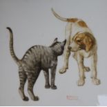 A continental porcelain plaque painted with a cat and dog by Antonius Traverso, framed, overall 35 x