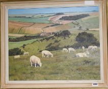 Stephen Hawkins, oil on canvas, sheep on the downs, signed 39 x 50cm