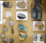 A small collection of fossil and mineral specimens with provenance