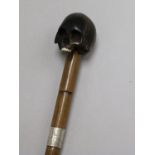 A walking cane with carved ebony handle in shape of human skull length 88cm