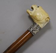 A walking cane with carved ivory handle in shape of snarling dog length 90cm