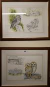 Ian Bowles, watercolour and pencil, 'La Vieille Ferme/Barn Owl' and another, signed, 30 x 43cm