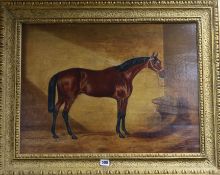 Follower of Harry Hall, oil on panel, Chestnut horse in a stable, 48 x 63cm
