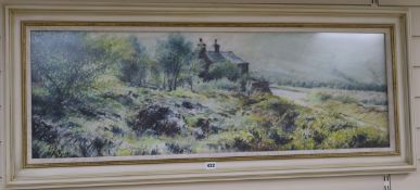 David Hunt (20th/21st Century)pastel'Rocks Barr in Summer'signed and dated '9536 x 110cm