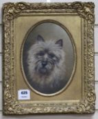 English School, oil on canvas board, portrait of a terrier 'Dot', 25 x 18cmFrom the estate of the