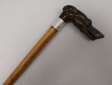 A walking stick with carved burr walnut handle in shape of a greyhound's head length 80cm