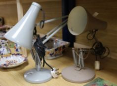 Two anglepoise lamps