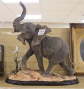 A large resin model of an elephant height 43cmFrom the estate of the late Sheila Farebrother.