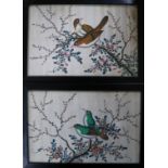 A pair of Chinese pith paintings of birds 14 x 21.5cm.