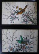 A pair of Chinese pith paintings of birds 14 x 21.5cm.