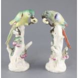 A rare pair of Naples Real Fabbrica porcelain figures of parrots on fruiting branches, early 19th