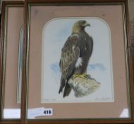 Robin Reckitt, pair of watercolours, Golden Eagle & Eleanor's Falcon, signed, 28 x 21cm.